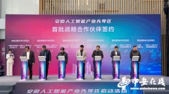 ”安徽省人工智投资成长无限公司的总司理马红